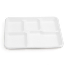 5 Compartment Sugarcane Tray//Pulp Tray/Bagasse Tray/Biodegradable Tray/Green Tray